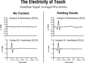 The electrical transmission from one individual to another